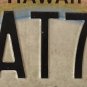 Hawaii LIONS CLUB INTERNATIONAL license plate Leo Oak Brook LCI We Serve Melvin
