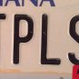 Vanity GONE TOPLESS CAR license plate Muscle Ford Chevy Buick Cadillac Pontiac