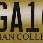 STILLMAN TIGERS license plate Wild Wildlife Animal Bengal Tiger Tuscaloosa Zoo