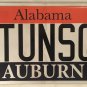 Vanity TUNE SQUAD SPACE JAM license plate Basketball Jordan NBA Bugs Bunny NCAA