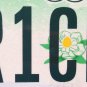 Vanity TOO RICH FOR YOU license plate Money Dollar Wealthy Arrogant sports car