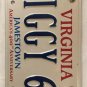 Vanity ZIGGY SIGMUND SIEGFRIED 1969 license plate Stardust Bowie Zigfrid Zigmund
