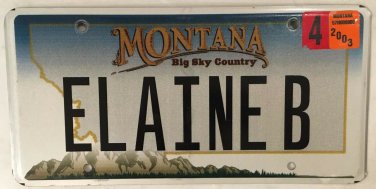 Vanity ELAINE license plate Elayne Ellen Lainey Elana Elayna Eleanor Elain Laine