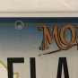 Vanity ELAINE license plate Elayne Ellen Lainey Elana Elayna Eleanor Elain Laine