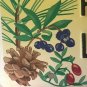 WILDLIFE FROG PINE BARRENS NATIONAL PARK license plate Pinelands Wild Animal