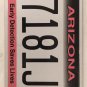 CANCER SURVIVOR license plate JK 1781 Breast Mammogram Save Life Komen Cure Pink