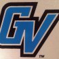 Michigan GRAND VALLEY STATE UNIVERSITY license plate Lakers Allendale College MI