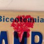 Carolina vanity VAMBO license plate Marble Eye Alex Harvey Rock Band Music Rambo