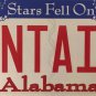 Vanity FOUNTAIN license plate water spring drink Youth park architecture garden