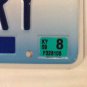 Vanity BLUEBERRY license plate Fruit Healthy Food Plants Sweet Pie Berry Fruits