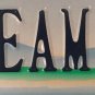 VA vanity DREAM BALL license plate Baseball MLB basketball NBA Soccer volleyball
