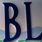 VA vanity DREAM BALL license plate Baseball MLB basketball NBA Soccer volleyball