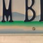 VA vanity DREAM BALL license plate Baseball MLB basketball NBA Soccer volleyball