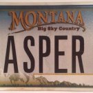 Vanity CASPER license plate Friendly Ghost Cartoon Fear Goblin Haunt Comic Book