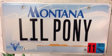 Vanity LITTLE PONY Mustang license plate Horse Muscle Car Roadster Auto Ford