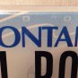 Vanity LITTLE PONY Mustang license plate Horse Muscle Car Roadster Auto Ford