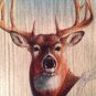 Set Of 3 WILDLIFE DEER license plate Wild Animal GAME Hunting Hunter Sportsman