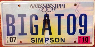 UNIVERSITY FLORIDA UF vanity BIG GATOR FAN 2009 license plate Albert Gainesville