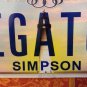 UNIVERSITY FLORIDA UF vanity BIG GATOR FAN 2009 license plate Albert Gainesville