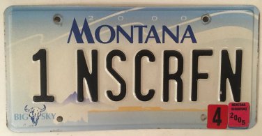 Vanity 1 NASCAR FAN license plate Stock Car Driver Racing Earnhardt Jeff Gordon