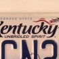 Vanity I SEE INTO YOU license plate Fortune Teller Predict Future God Psychic