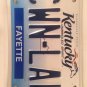 Vanity COMMON LAW license plate Lawyer Attorney Legal Firm JD Judge