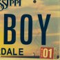 Vanity COUNTRY BOY license plate Cowboy Rancher Farmer Farm Ranch Agriculture