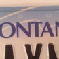 Montana vanity PLAYMOBIL license plate Toy Zirndorf Hans Beck Toys Figurine