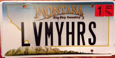 Vanity LOVE MY HOURS license plate Job Freelance Flexible Entrepreneur Work time