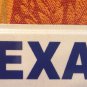 TX SHARE THE ROAD license plate Bicycle Motorcycle Bike Biking Amstrong Harley