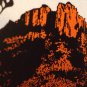 TX BIG BEND NATIONAL PARK license plate Santa Elena Canyon Chisos Mountain Trail