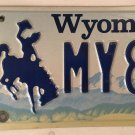 Vanity FOR MY 1981 license plate Ford  Mustang Chevy Muscle BMW GM Buick VW car