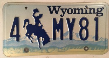 Vanity FOR MY 1981 license plate Ford  Mustang Chevy Muscle BMW GM Buick VW car