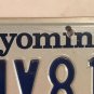Vanity FOR MY 1981 license plate Ford Mustang Chevy Muscle BMW GM Buick VW car