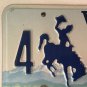 Vanity FOR MY 1981 license plate Ford Mustang Chevy Muscle BMW GM Buick VW car