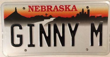 GINNY M vanity license Plate Virginia Ginna Gina Gena Regina Ginney Ginnie Gin