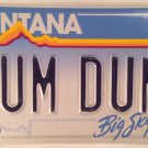 Vanity DUM DUM license plate lollipop Candy bullet Gun Girls Song Dums Dugan Roc