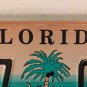FL CELEBRATE CHILDREN KIDS CHILD Abuse license plate Speak Up Family Coconut