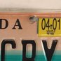 FL CELEBRATE CHILDREN KIDS CHILD Abuse license plate Speak Up Family Coconut