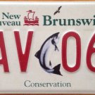SALMON CONSERVATION license Plate Fish Park wildlife wild animal Fishing NAV 064