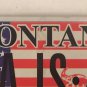 WILDLIFE BALD EAGLE LIBERTY & JUSTICE FOR ALL license plate Pledge Of Allegiance
