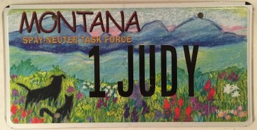 PET vanity 1 JUDY license plate Judith Judi Jody Judit Judee Judey Judye Judie