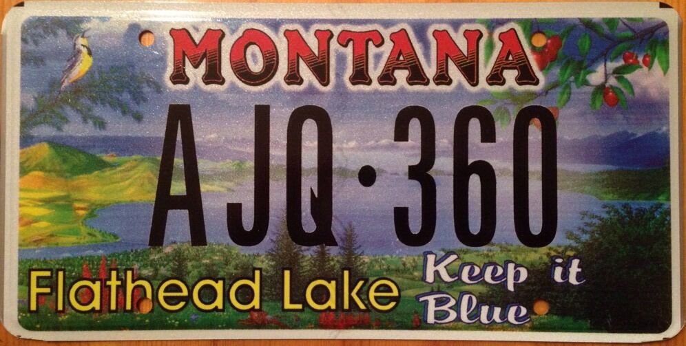 MT Flathead Lake license plate Salish Glacier State Park Wildlife Bird