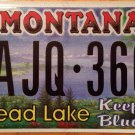 MT Flathead Lake license plate Salish Glacier State Park Wildlife Bird Kalispell