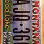 MT Flathead Lake license plate Salish Glacier State Park Wildlife Bird Kalispell