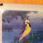 MT Flathead Lake license plate Salish Glacier State Park Wildlife Bird Kalispell