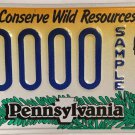 PA WILDLIFE SAW WHET OWL license plate Wild Night Barn Animal National Park Hoot