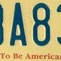UNITED WE STAND STATES USA PRIDE license plate Vet Support Troops Flag Patriotic