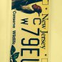 Wildlife WOODPECKER license plate Wild Animal Bird National Park Forest Nature
