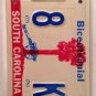 Carolina vanity 18K KARAT Gold Diamond license plate Jewel Bracelet Gem Carat